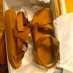 Everlane ReNew Sport Sandal Golden Brown